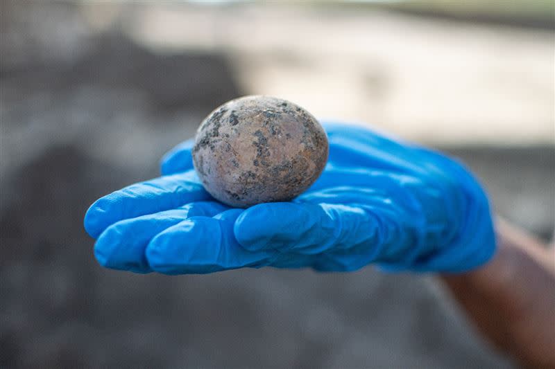 該顆雞蛋目前推斷至少有1000年的歷史，雖底部有小洞造成大部分的物質都已流出，但仍殘存一些蛋黃，將用來進行DNA分析。（圖／翻攝自pixabay與Israel Antiquities Authority）