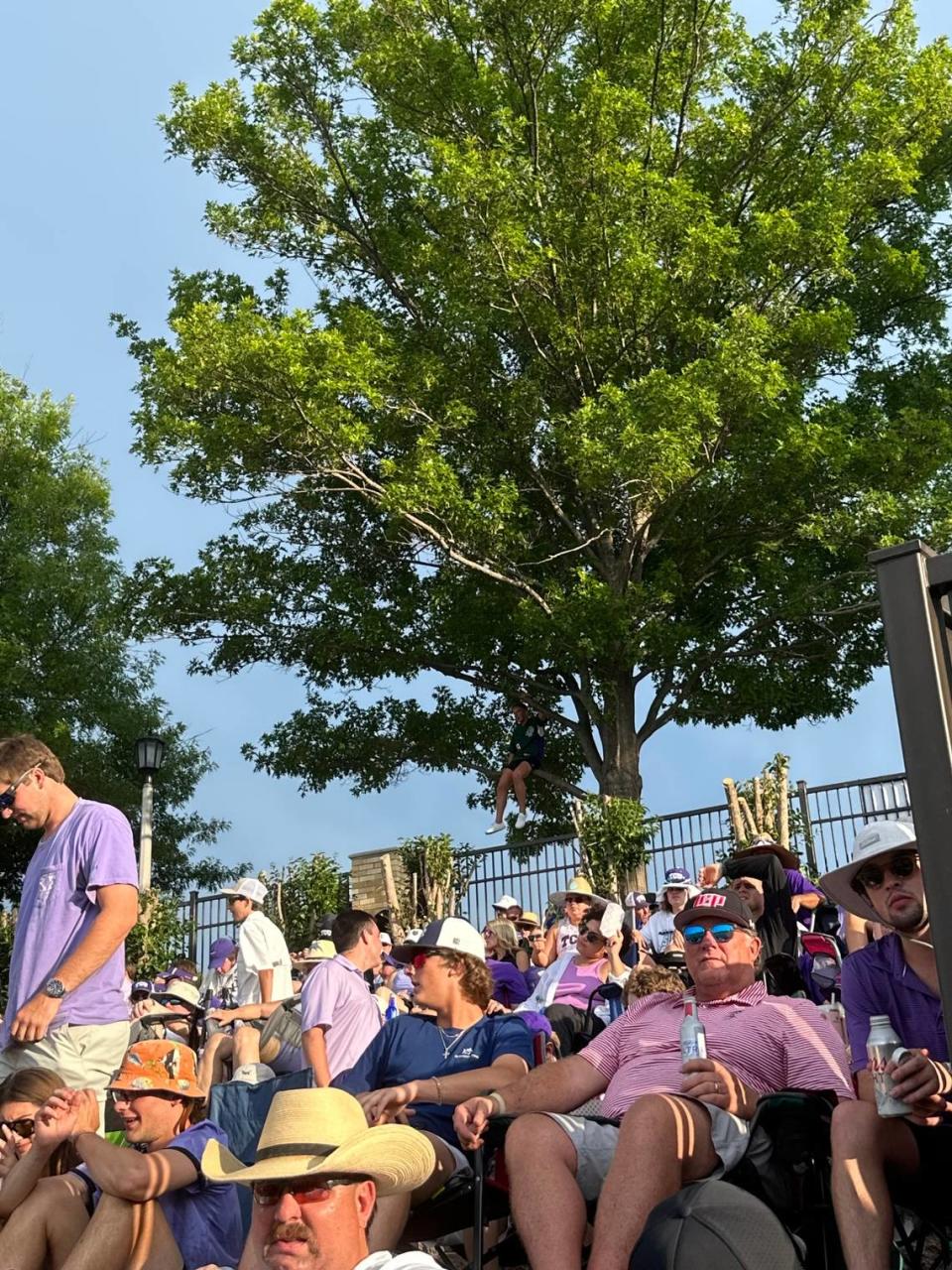 TCU fans found any way to take in the action from a packed Lupton Stadium, including climbing the trees outside the stadium.