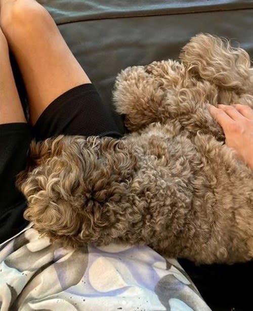 Takuya's beloved pet dog finally gets to sit on his lap again