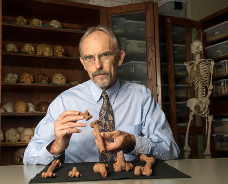 Paleoanthropologist John Kappelman is seen with 3D printouts of Lucy’s skeleton illustrating the compressive fractures in her right humerus that she suffered at the time of her death 3.18 million years ago in this image from the University of Texas at Austin, U.S. for release on November, 30, 2016. Courtesy Marsha Miller/The University of Texas at Austin/Handout via REUTERS