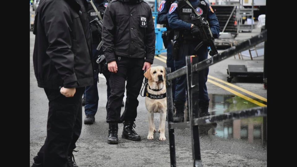 警犬「福星」將退休，相處7年的領犬員將成為牠的飼主。（翻攝自警犬福星FB粉專）