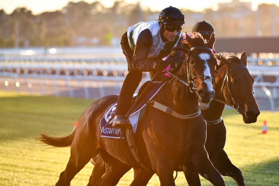 Jockey Glenn Boss rides Constantinople (left) and Jye McNeil rides Huntly Castle (right) during a trackwork session at Flemington racecourse in the lead-up to the Melbourne Cup. Source: AAP Images