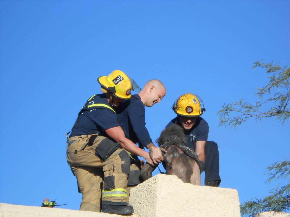 [An Arizona man who’d locked himself out of his house felt the best way to get back inside was through the chimney. Four hours later, firefighters finally got him out. Photo: Tucson Fire Department/Facebook]
