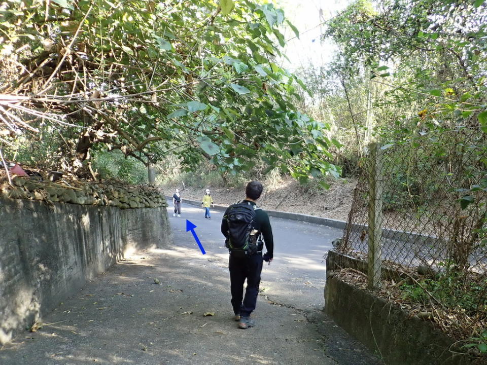 挑水古道＋碧山古道