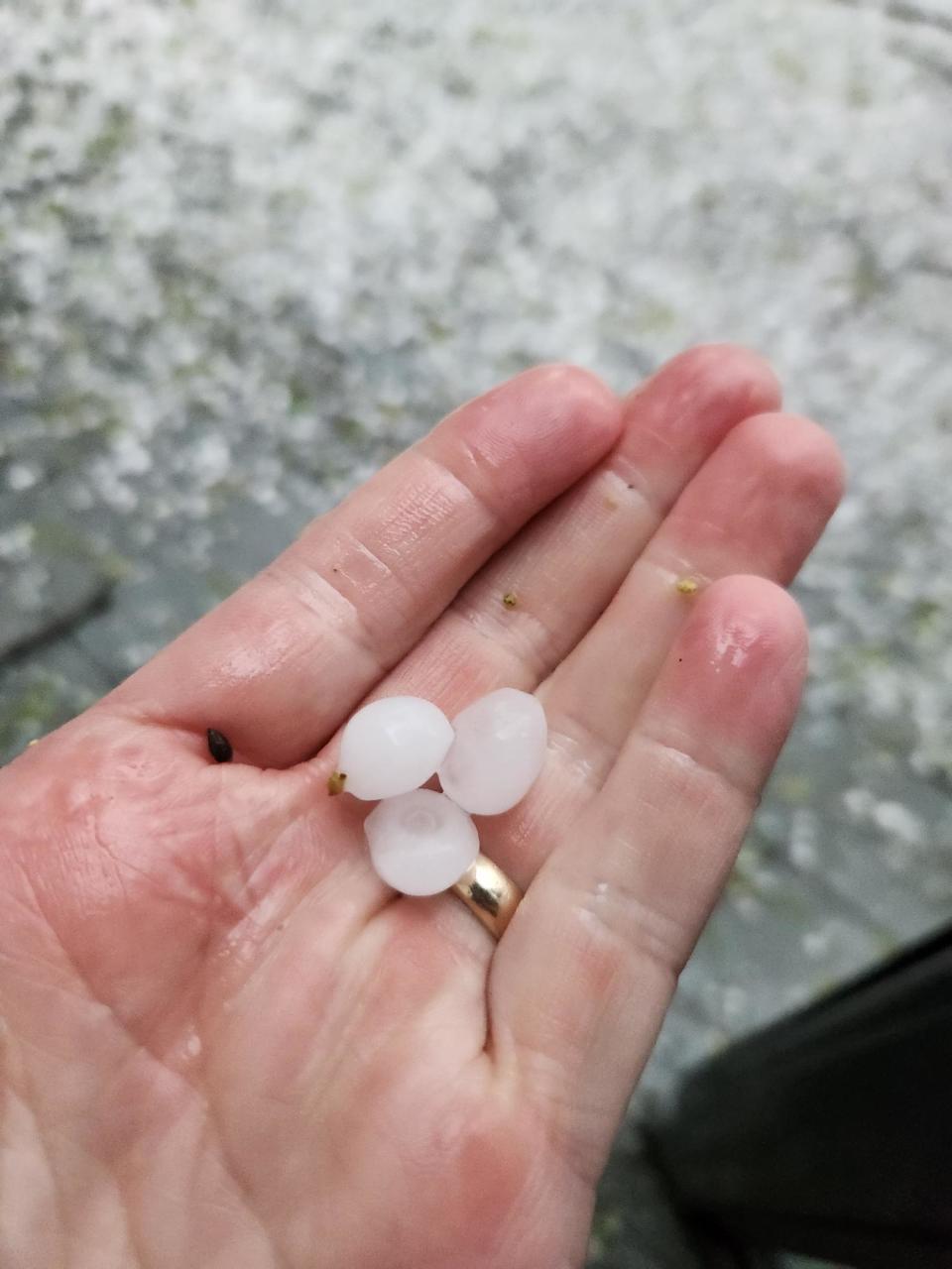 Hail fell in Gahanna, Ohio on April 17, 2024 that appeared to be around the size of pennies. (NBC4 Photo/Brian Hofmann)