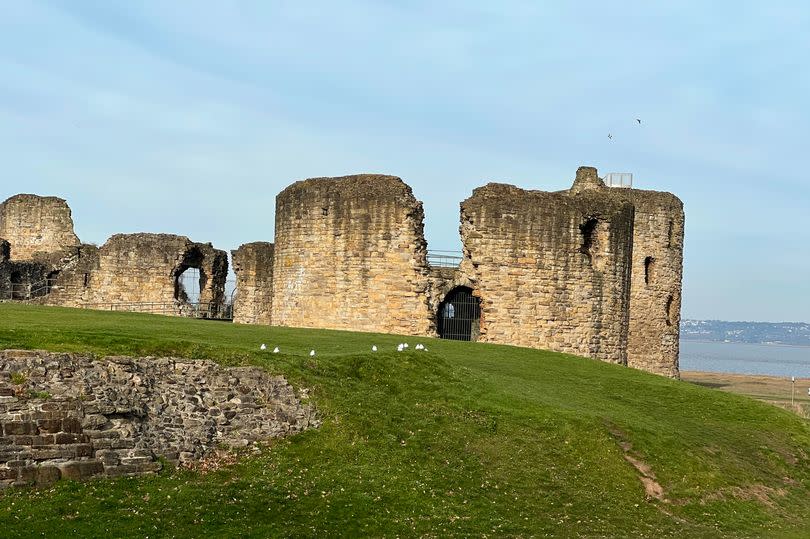 Flint Castle with green grass and blue sky