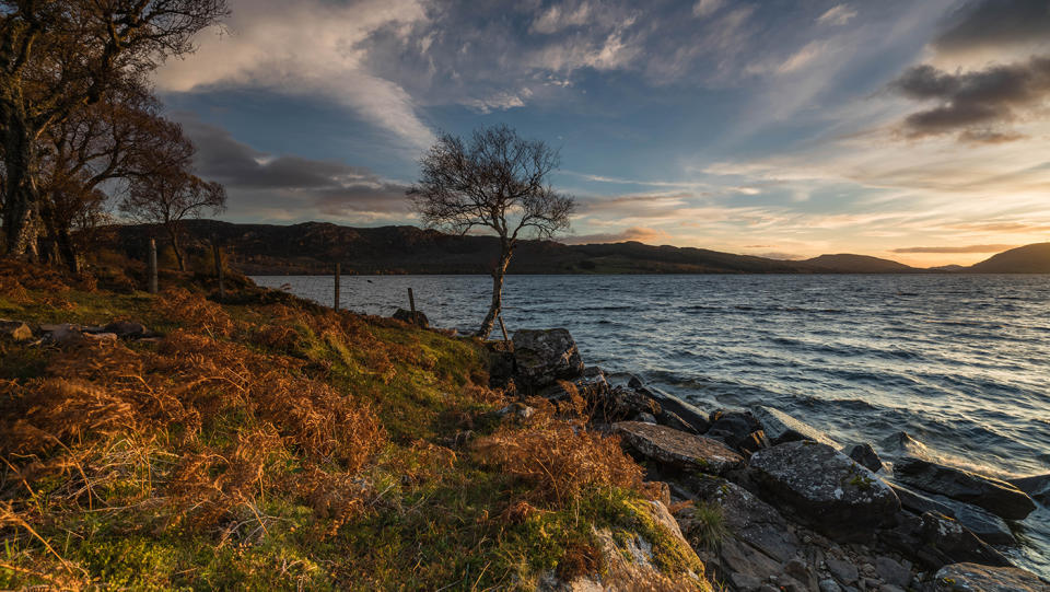 A gorgeous Autumnal day by Loch Duntelchaig in Inverness 