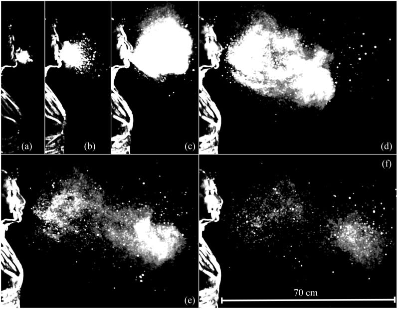 This sequence illustrates the evolution of the multiphase turbulence cloud that suspends droplets emitted during a sneeze. Shown here are times ranging from 7 to 340 milliseconds post sneeze onset.