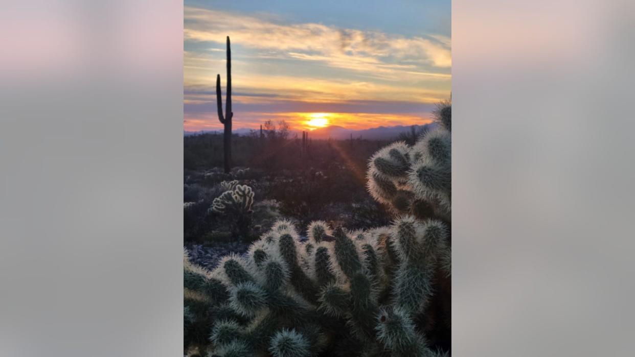 <div>Quick! Enjoy this view of the desert before it heats up again! Thanks Jason and Jennifer Martin for sharing!</div>