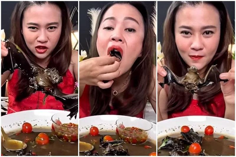 泰國一名網紅直播吃蝙蝠湯，引發軒然大波。（翻攝自推特）