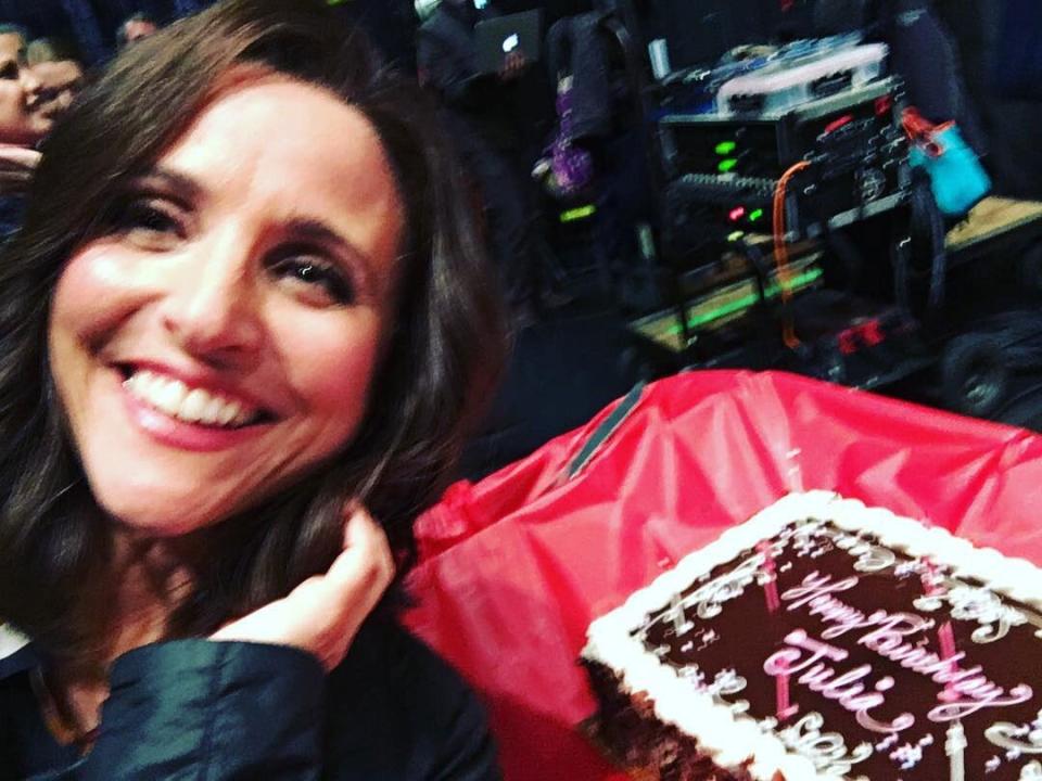 JULIA LOUIS-DREYFUS