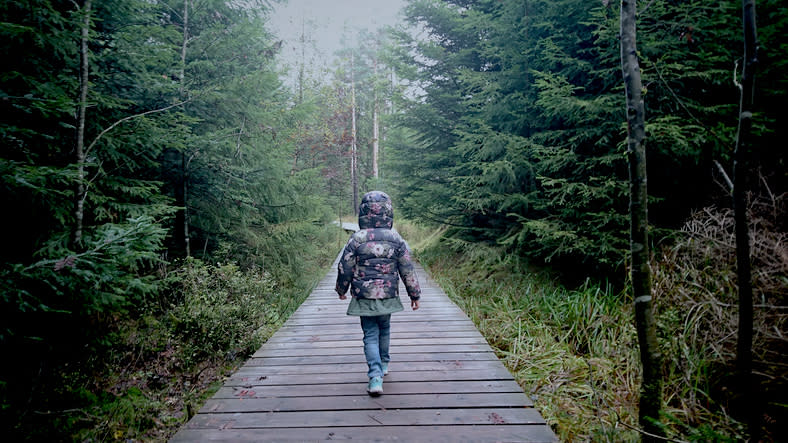 A child walks alone on a wooden pathway surrounded by a dense forest