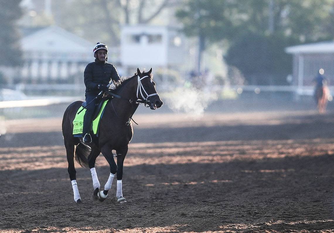 Kentucky Derby contender Catching Freedom walks off the track on a brisk morning on April 20 at Churchill Downs.