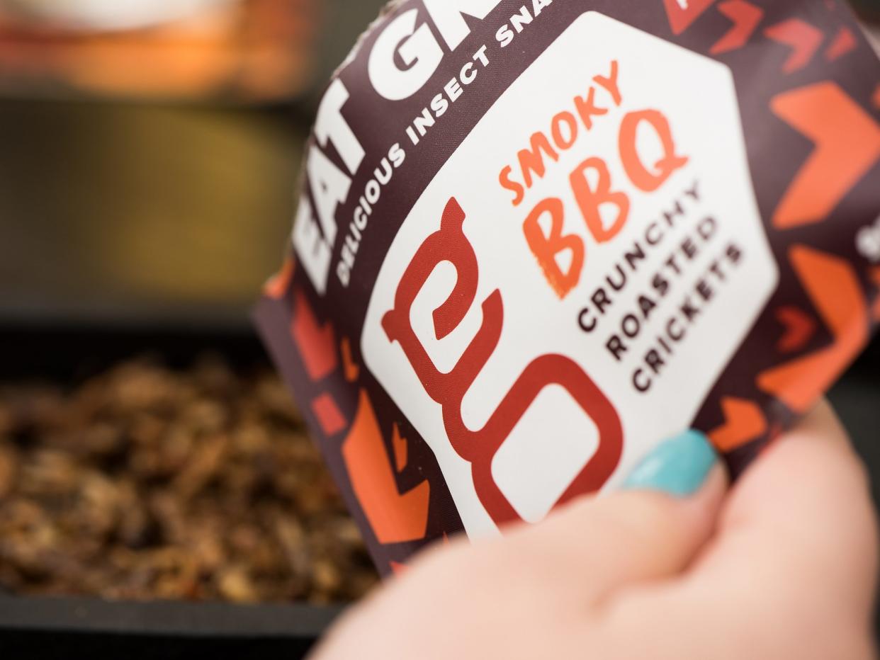 Crickets are the new 'new sustainable protein source' in Sainsbury's: Eat Grub