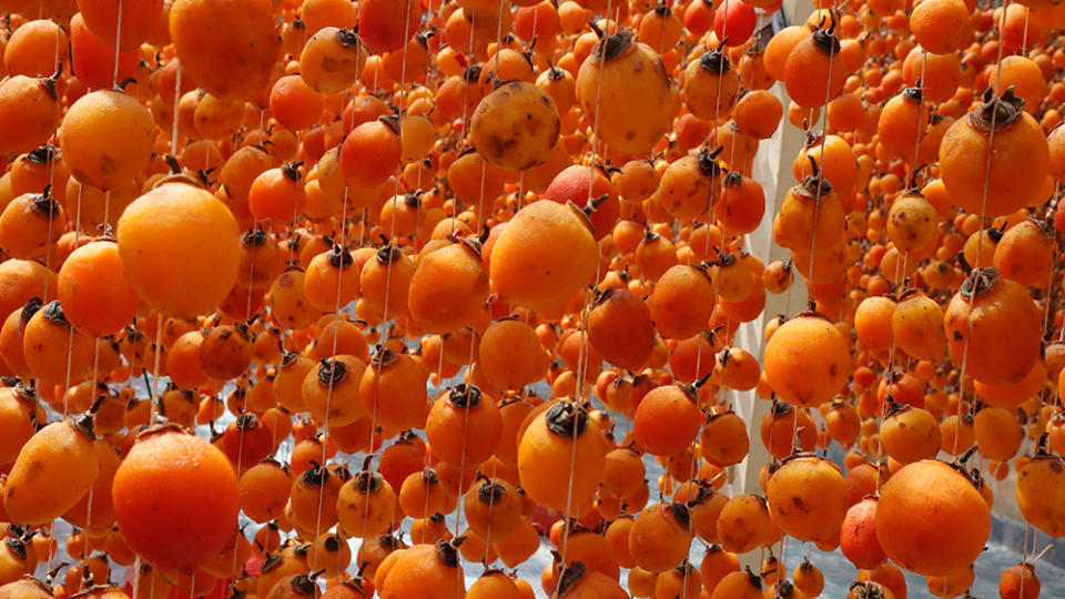 Hanging persimmon - Japanese Dried Persimmon (Hoshigaki) hanged on strings to dry a common sight