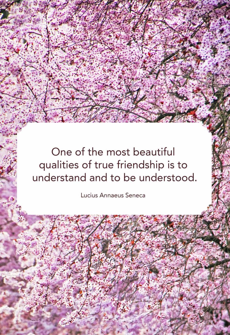 friendship quotes understood