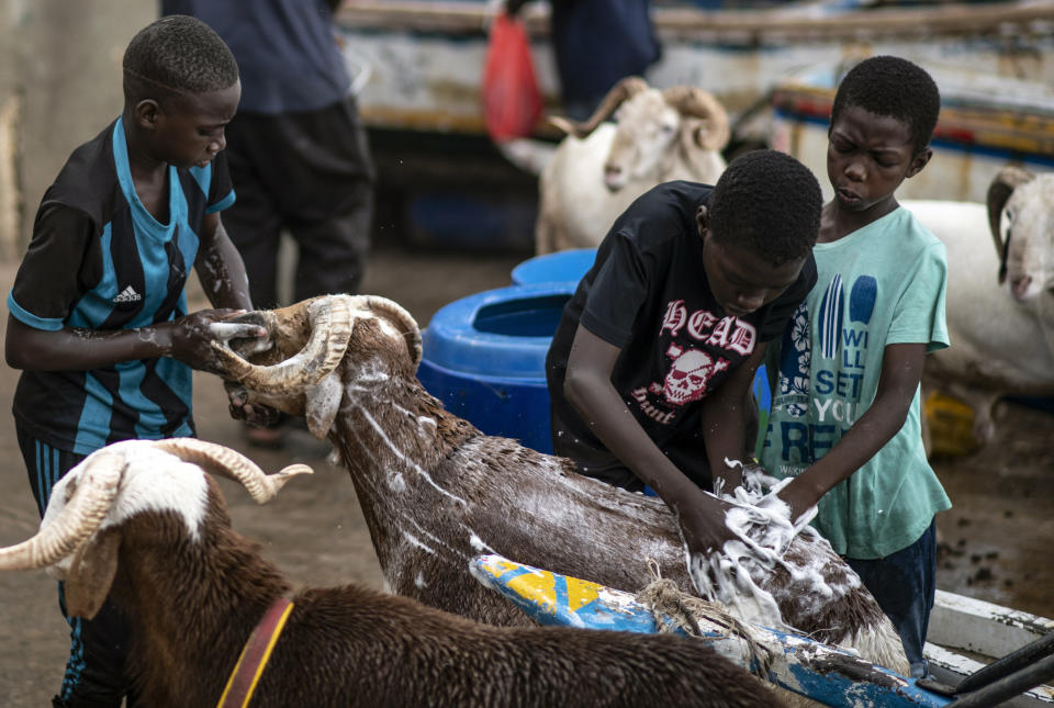 Children wash sheep with soap before they are offered for sale for the upcoming Islamic holiday of Eid al-Adha, on the beach in Dakar, Senegal Thursday, July 30, 2020. Even in the best of times, many Muslims in West Africa scramble to afford a sheep to slaughter on the Eid al-Adha holiday, a display of faith that often costs as much as a month's income, and now the coronavirus is wreaking havoc on people's budgets putting an important religious tradition beyond financial reach. (AP Photo/Sylvain Cherkaoui)