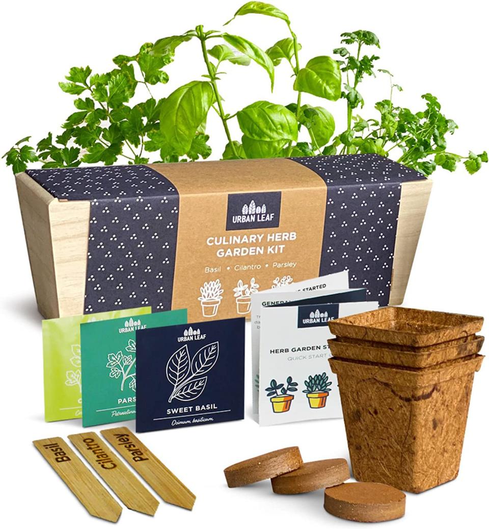 Herb Garden Starter Kit with plant pots, seed starter labels seeds and herbs gift idea