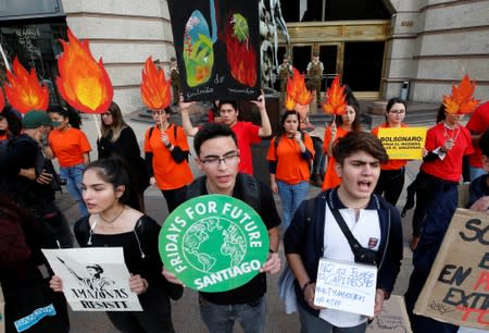 Demonstrators of environmental organizations take part in a rally in front of the embassy of Brazil in demand to more Amazon protection in Santiago