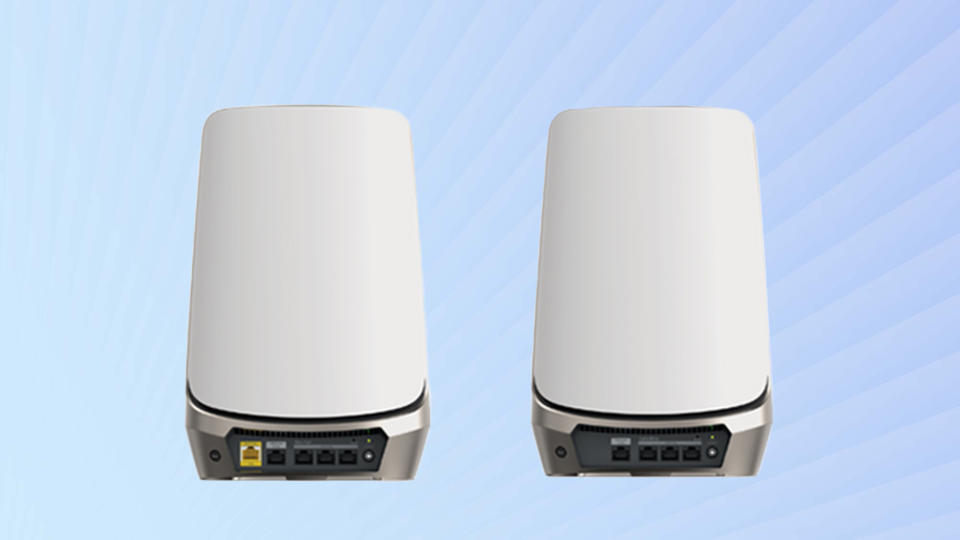 Back view of Netgear Orbi Wi-Fi 6E (RBKE963)