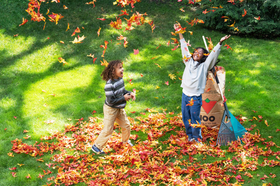 Kids playing in a pile of leaves while they rake the yard