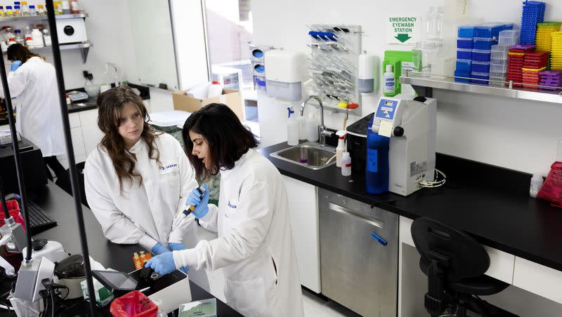 Research scientist Madi Pyper and Dr. Ashvini Ray, right, measure concentrations of DNA with the use of a NanoPhotometer at Seek Labs in Salt Lake City on Thursday, Nov. 9, 2023.