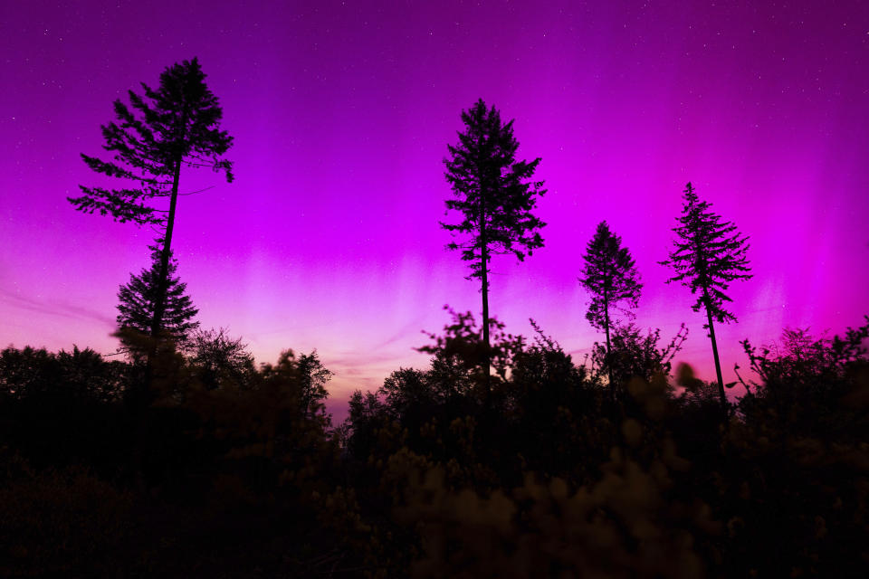 Northern lights appear in the night sky over the Pferdskopf near Treisberg in the Hochtaunus district of Hesse, Germany, early Saturday, May 11, 2024. (Lando Hass/dpa via AP)