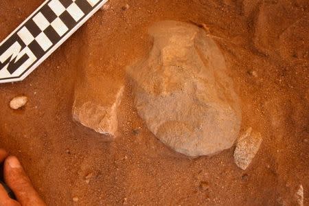 A supplied image shows an edge-ground hatchet head after it was excavated at the Madjedbebe site located in the Kakadu region in northern Australia, July 10, 2012 which has revelead that humans reached the country at least 65,000 years ago - up to 18,000 years earlier than archaeologists previously thought. Chris Clarkson-Gundjeihmi Aboriginal Corporation/Handout via REUTERS
