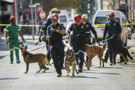 South African K-9 rescue team leave the scene of one of South Africa's deadliest inner-city fires in Johannesburg, South Africa, Friday, Sept. 1, 2023. Pathologists faced the grisly task Friday of identifying dozens of charred bodies and some separate body parts that had been transported to several mortuaries across the city of Johannesburg. (AP Photo/Jerome Delay)