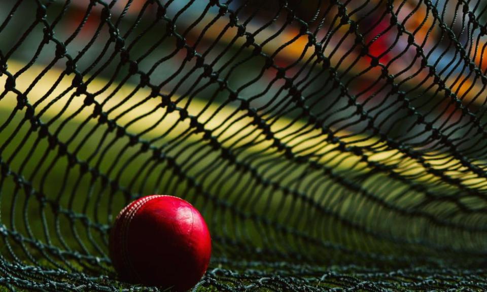 cricket ball in net