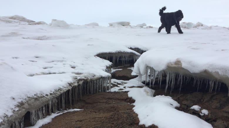 From flurries in Calgary to sunny days in the East: What May 2-4 looks like across Canada