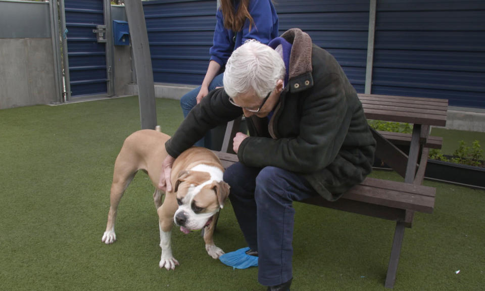 Paul O'Grady with an American Bulldog called Sky heartbroken to leave her owner. (ITV)