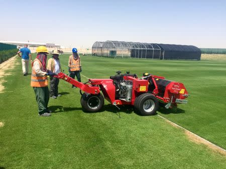 Indian workers mow grass being grown at a research and development centre in Murakh, Doha, for QatarÕs 2022 World Cup April 26, 2016. REUTERS/Tom Finn