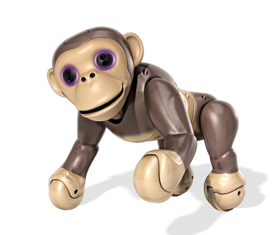 <p>Zoomer Chimp è la scimmia robot prodotta da Spin Master che si muove, gesticola ed emette i suoni tipici del suo corrispettivo animale. Dotata di riconoscimento vocale e di sensori di movimento, riesce a seguire ordini come “In piedi!”, “Balla!” e “Parla!”. Il colore degli occhi così come i movimenti facciali cambiano a seconda dell’umore. Prezzo: 119,99 dollari su amazon.com </p>