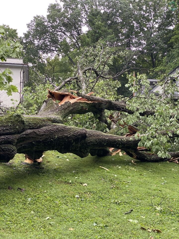 Storm Damage in the Miami Valley