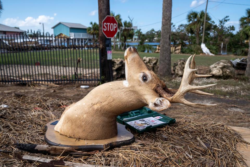 A mounted deer head is part of the debris washed out onto the street by storm surge after Hurricane Helene hit the area on September 27, 2024 in Steinhatchee, Florida.