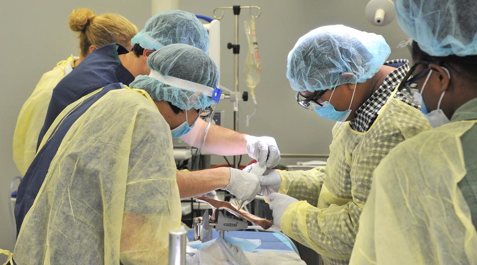 Darnell-Cookman School of the Medical Arts sophomore Mark Palompo drills into a cow's scapula during a two-day neuroanatomy training event at the Jacksonville campus of Medtronic in this 2016 picture.