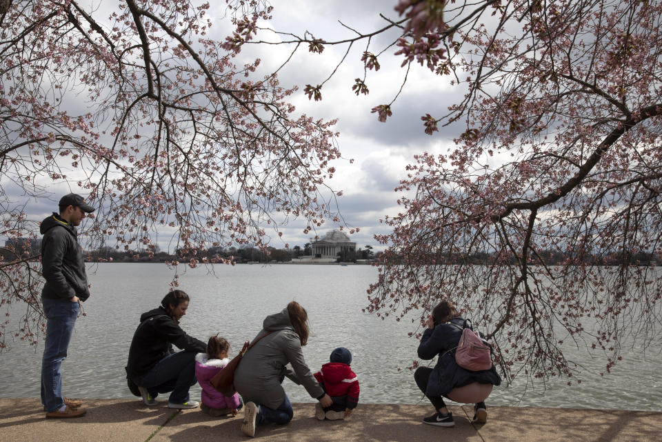 A family visits the cherry blossom trees along the tidal basin, Sunday, March 15, 2020, in Washington. Several events, including the parade, that are part of the annual Cherry Blossom Festival have been canceled due to coronavirus precautions. (AP Photo/Jacquelyn Martin)