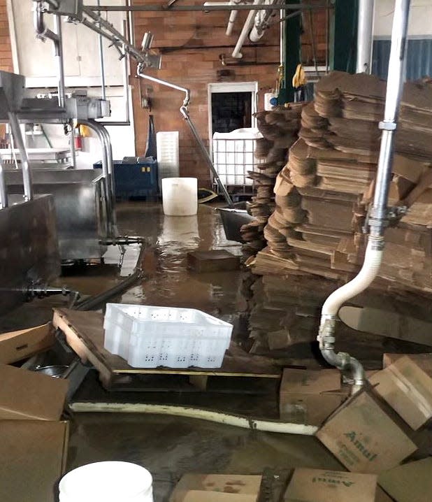 Inside the Golden Age Cheese Factory after the flood