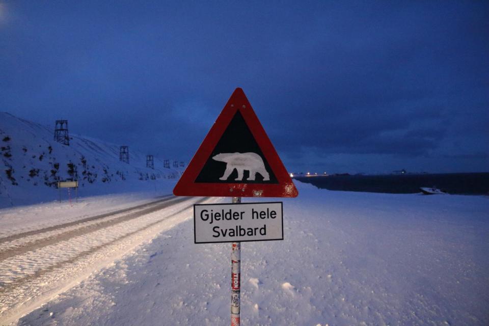 Polar bear warning signs in wintertime Svalbard (George Godson)