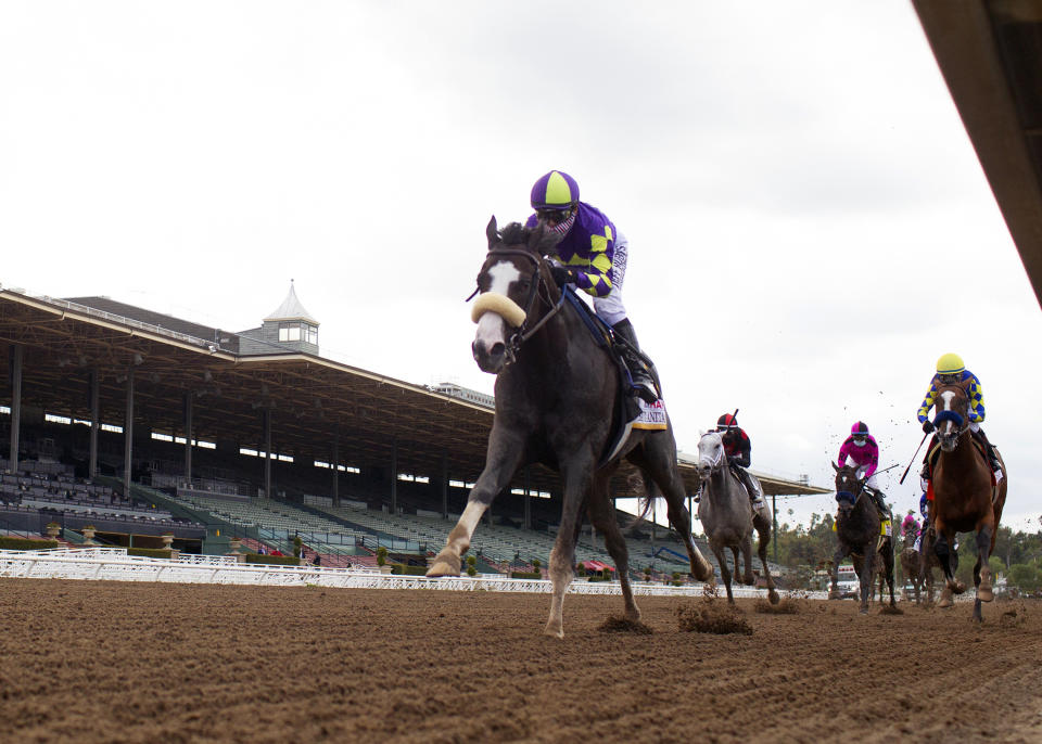 In a photo provided by Benoit Photo, C R K Stable's Honor A.P. and jockey Mike Smith win the Grade I $400,000 RUNHAPPY Santa Anita Derby Saturday, June 6, 2020 at Santa Anita Park in Arcadia, Calif.(Benoit Photo via AP)