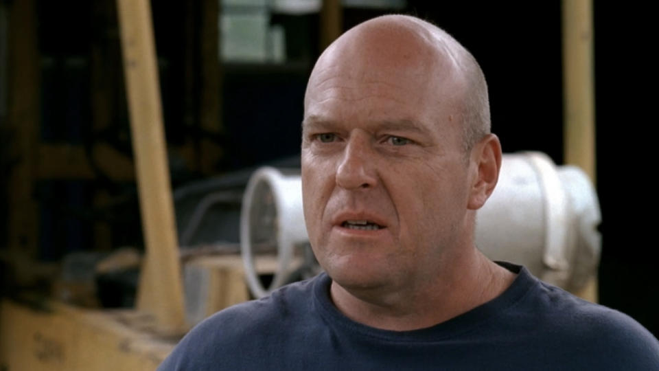 Dean Norris (Don Timmons)