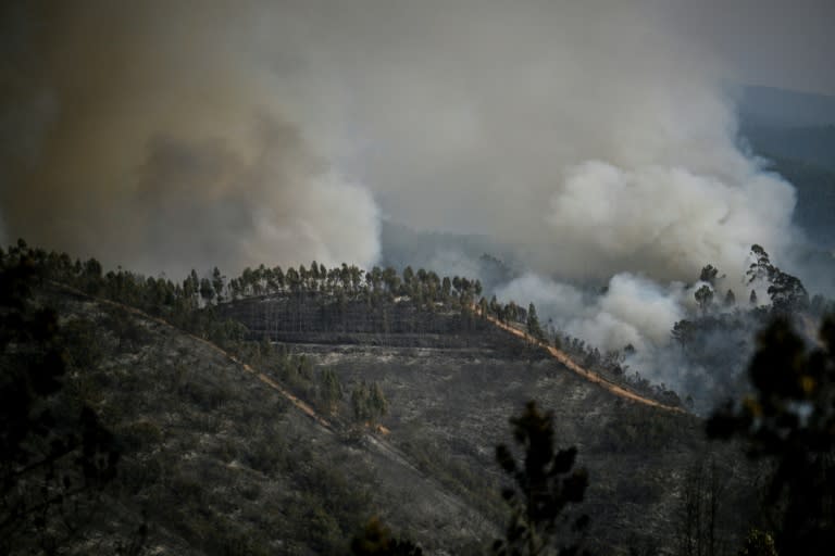 西葡兩國森林大火肆虐 高溫恐刷新70年紀錄