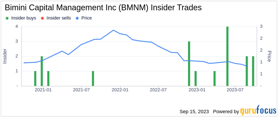 Insider Buying: Robert Dwyer Acquires 16,105 Shares of Bimini Capital Management Inc