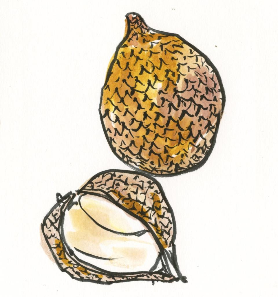 Phoebe Rutherford Snake Fruit (Phoebe Rutherford)