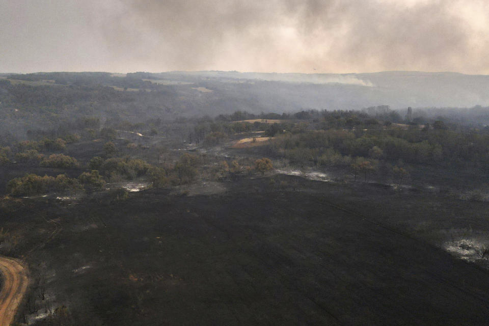 Burnt trees stand as a wildfire burns in Giannouli village, in the northeastern Evros region, Greece, Thursday, Aug. 31, 2023. Greek authorities have further reinforced firefighting forces in the country's northeast, where a massive blaze in its thirteenth day has flared up once more, triggering authorities to issue alerts to residents in the area to be on standby for possible evacuation. (e-evros.gr via AP)