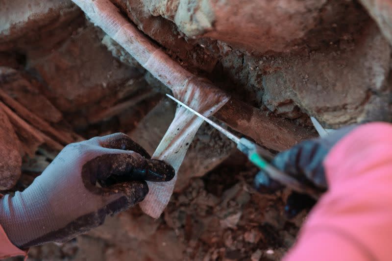 Archaeologists from the National Institute of Anthropology and History (INAH) work at a site where they are unearthing remains of mammoths, in Zumpango