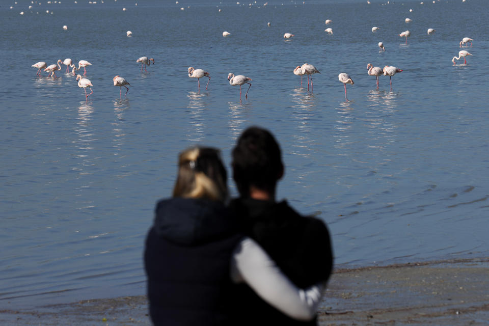 A couple stand at the edge of the salt lake and watch the flamingos, in the background, in southern coastal city of Larnaca, in the eastern Mediterranean island of Cyprus, Sunday, Jan. 31, 2021. Conservationists in Cyprus are urging authorities to expand a hunting ban throughout a coastal salt lake network amid concerns that migrating flamingos could potentially swallow lethal quantities of lead shotgun pellets. (AP Photo/Petros Karadjias)