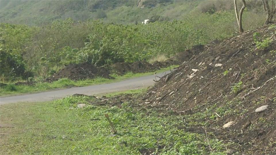 地主未申報就開路 花蓮嶺頂遺址遭破壞 珍貴林木也遭殃！花蓮文化局急搶救