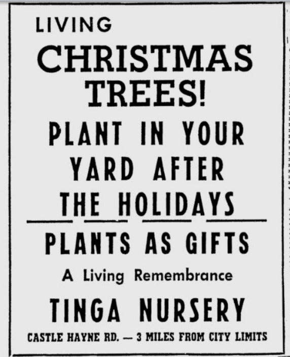 Tinga Nursery remains in operation off Castle Hayne Road and had a reminder about Christmas trees in this ad from Dec. 1955.